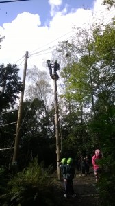 Camp Chillout