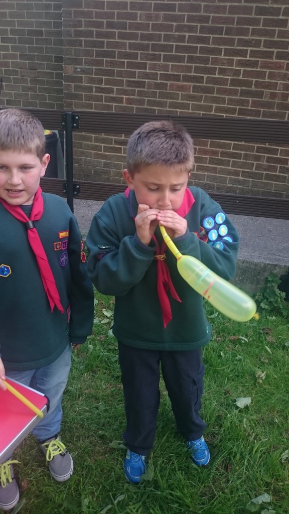 cubs have fun with air