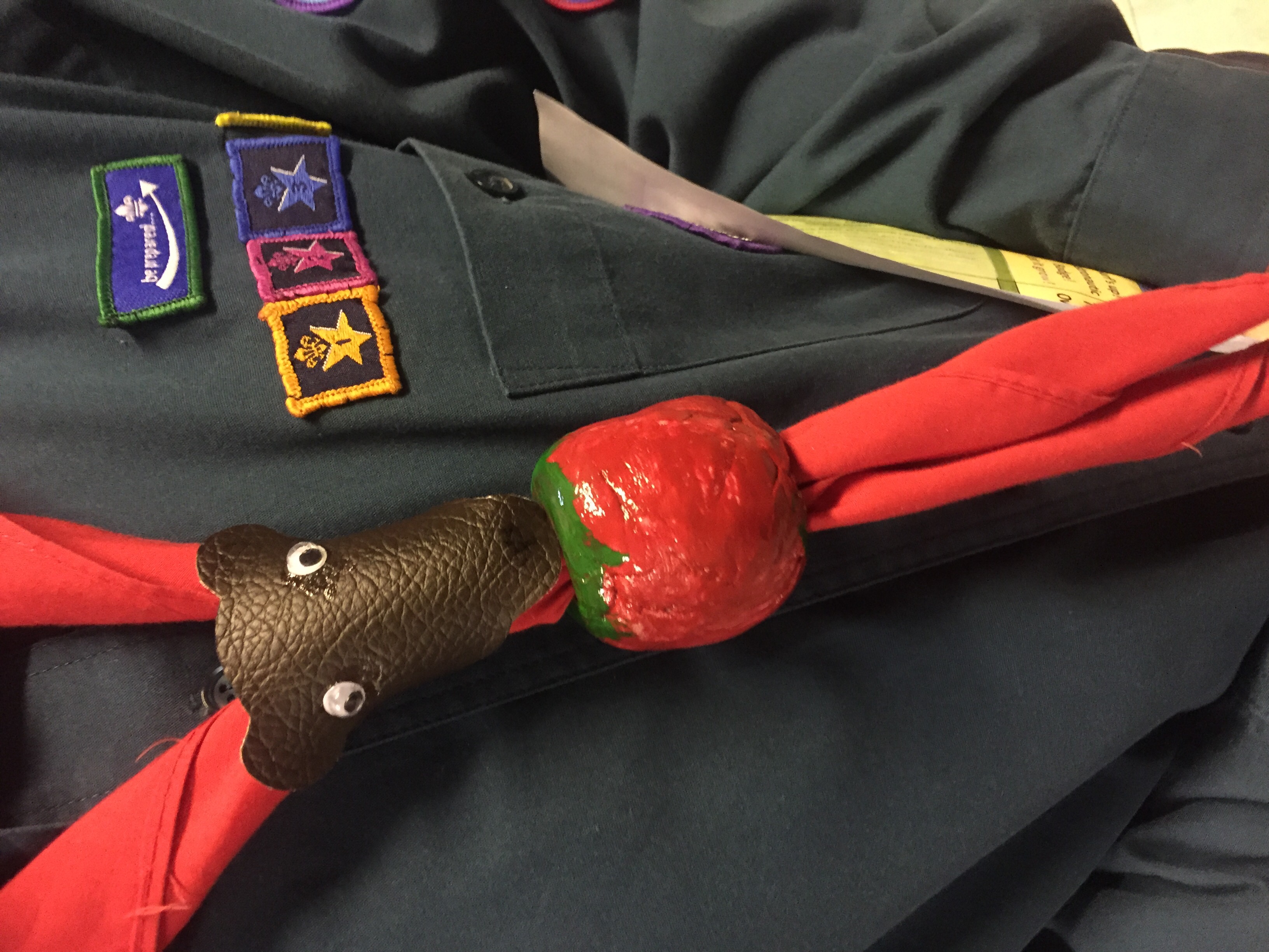 Are you tougher than a Scout